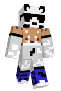 hilittle_cute Minecraft avatar full body