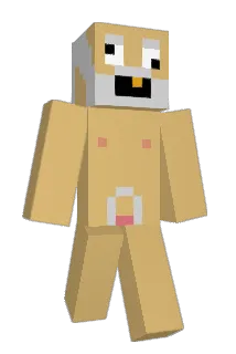 hillsy5853 Minecraft avatar full body