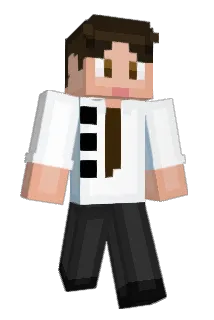 himtlv Minecraft avatar full body