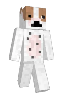 hinky14 Minecraft avatar full body