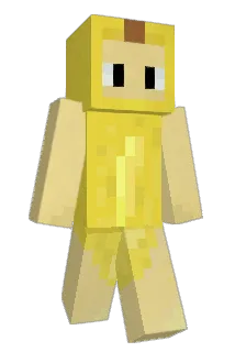 hippielittle Minecraft avatar full body