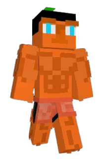 hippiespace Minecraft avatar full body