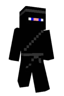 hispanasian Minecraft avatar full body