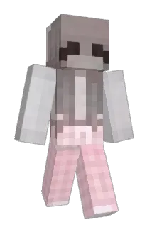 hit1nax Minecraft avatar full body