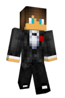 hitswill Minecraft avatar full body