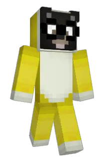 hivesexzy Minecraft avatar full body