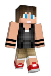 hj04190113 Minecraft avatar full body