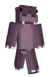 hjohnston18 Minecraft avatar full body