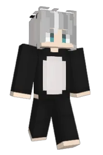 hjun817 Minecraft avatar full body