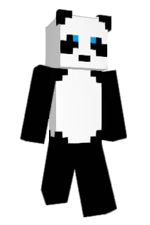 hk707 Minecraft avatar full body