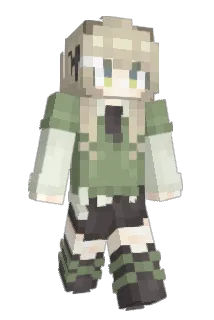 hkkkj Minecraft avatar full body