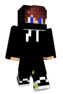 hmc9 Minecraft avatar full body