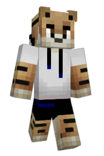 hmodsx511 Minecraft avatar full body