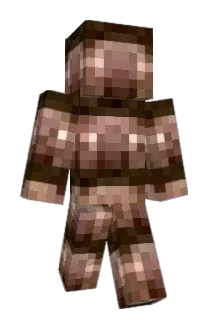 hmzh_06 Minecraft avatar full body