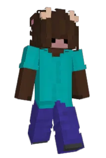 hnlr Minecraft avatar full body