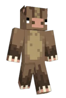 ho____ Minecraft avatar full body