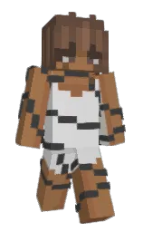 Custom render preview