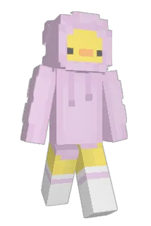 hoenk Minecraft avatar full body