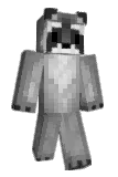 hoglund__coolkid Minecraft avatar full body