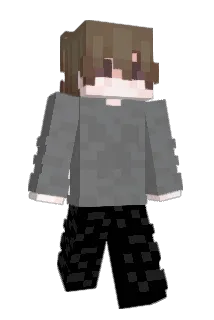 hohasd020c Minecraft avatar full body