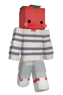 hoi_hoi_ Minecraft avatar full body