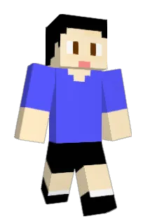 hokins Minecraft avatar full body