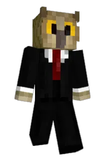 holexion Minecraft avatar full body
