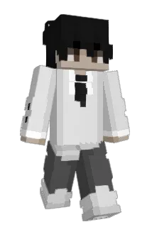 holymolywoa Minecraft avatar full body