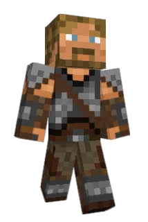 home5009 Minecraft avatar full body