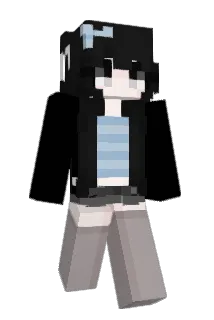 homeflu Minecraft avatar full body