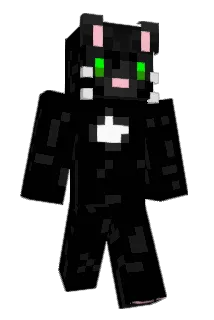 homer2004 Minecraft avatar full body