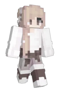 homka46 Minecraft avatar full body