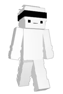 homohippo Minecraft avatar full body