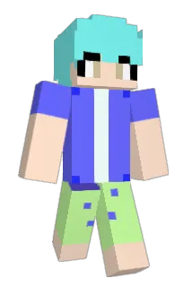 honasion Minecraft avatar full body