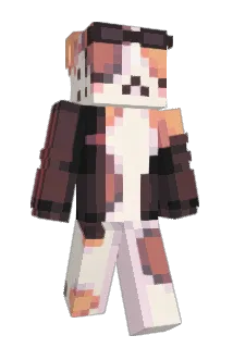 honiebee Minecraft avatar full body