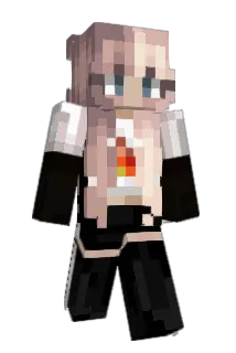 honklills Minecraft avatar full body
