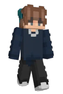 honkv Minecraft avatar full body