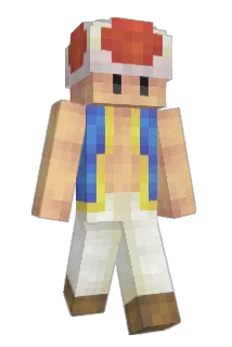 hoolahoopz Minecraft avatar full body