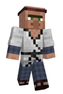 hopper3678 Minecraft avatar full body