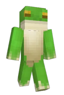 hoppi1425 Minecraft avatar full body