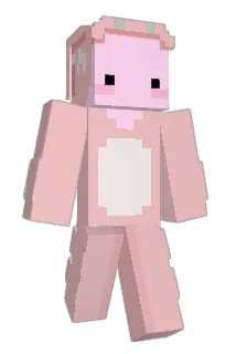 hotdiggitydoge Minecraft avatar full body