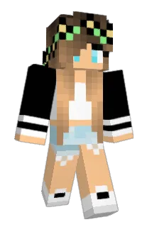 hotdog04 Minecraft avatar full body