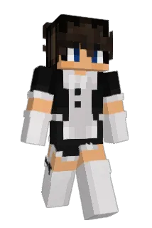hotdog8 Minecraft avatar full body