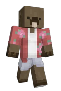 hotdog9033 Minecraft avatar full body