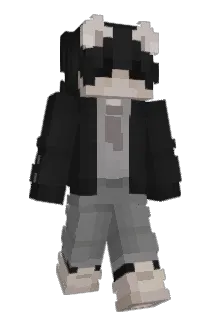 hotwill Minecraft avatar full body