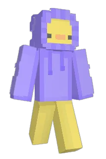 househouse_ Minecraft avatar full body