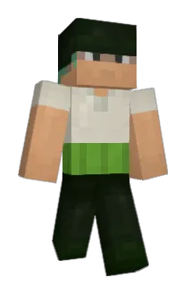 housemat Minecraft avatar full body