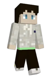 houseofpig Minecraft avatar full body