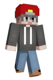 housestone Minecraft avatar full body