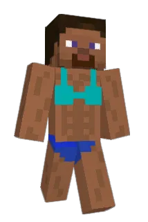howaboutyou Minecraft avatar full body